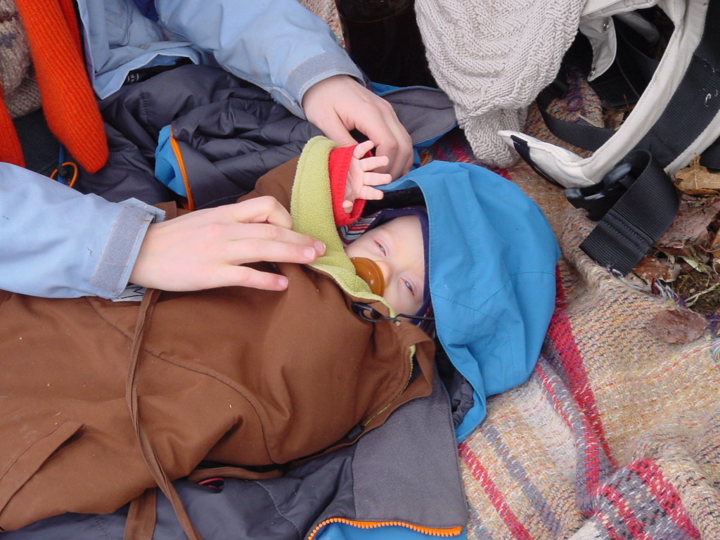 picnic