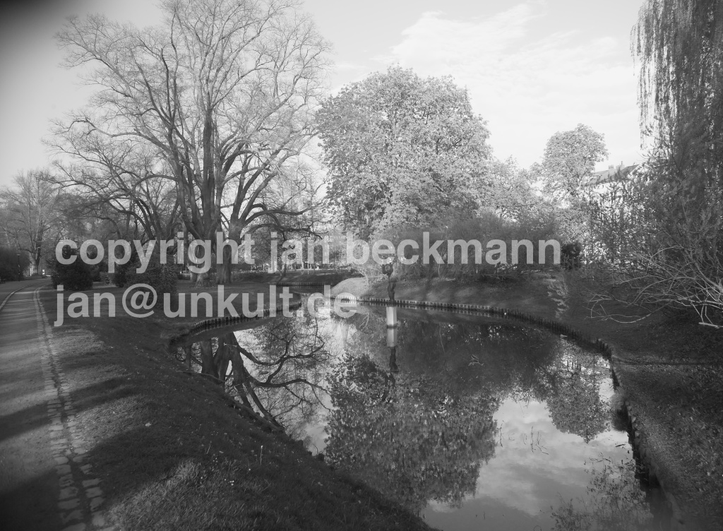 ammonpark_web